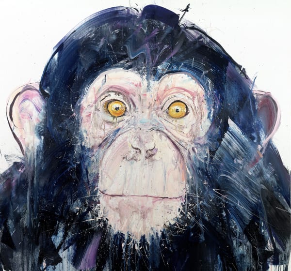 Dave White, Chimpanzee