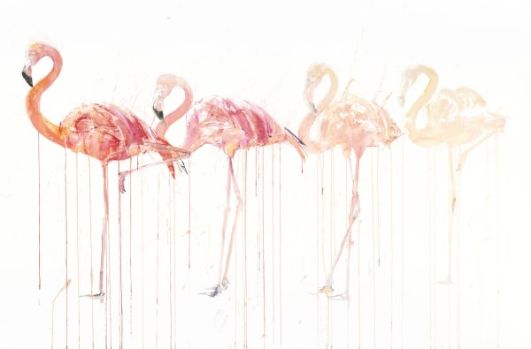 Dave White, Flamingo Movement