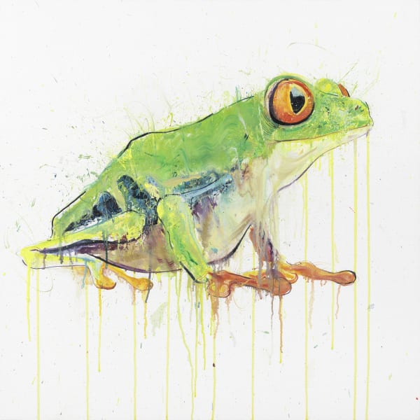 Dave White, Tree Frog