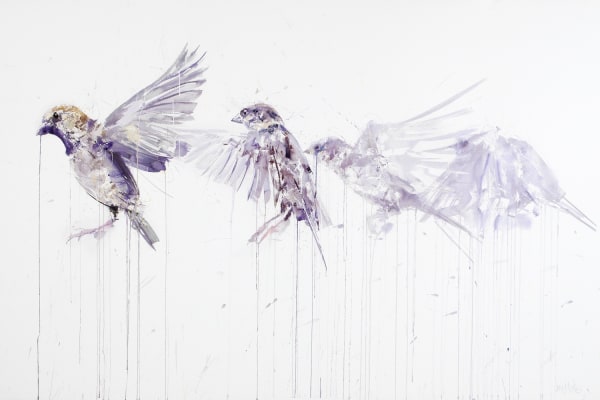 Dave White, Flying Sparrow