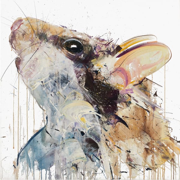 Dave White, Hazel Dormouse