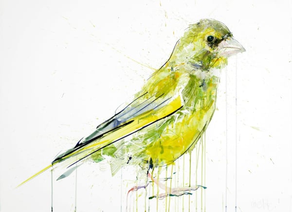 Dave White, Greenfinch