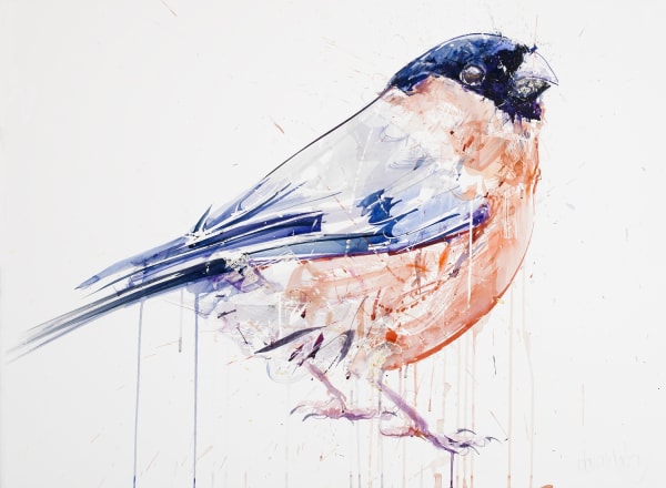 Dave White, Bullfinch