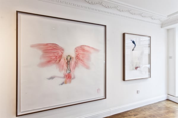 Motcomb Street Summer Exhibition
