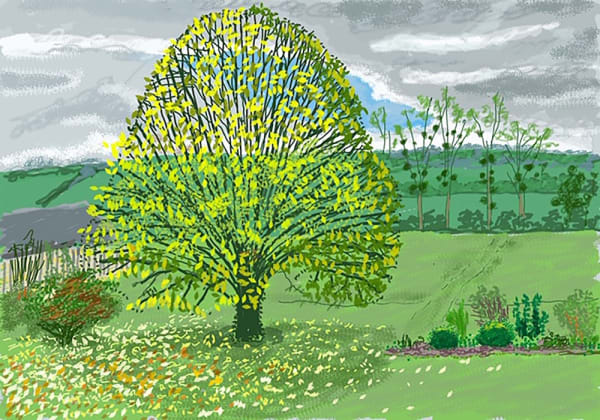 David Hockney, The Big Tree in Autumn (30 October 2020) © David Hockney