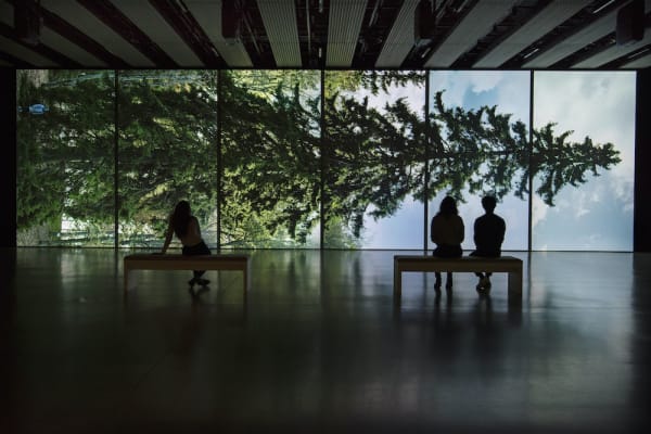 Eija-Liisa Ahtila, Horizontal - Vaakasuora, 2011, at Among the Trees, Hayward Gallery, 2020. © Crystal Eye, Helsinki, 2020. Courtesy of Hayward Gallery. Photo: Linda Nylind