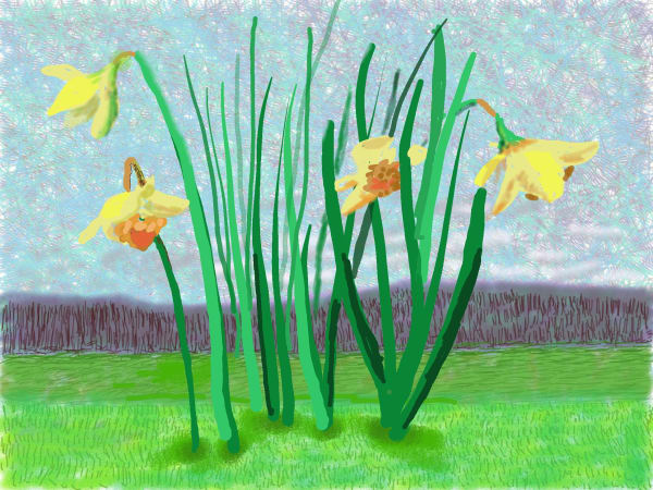 David Hockney “Do remember, they can’t cancel the Spring” 2020 iPad drawing © David Hockney