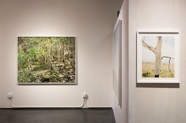 Gaillard A Space 4282