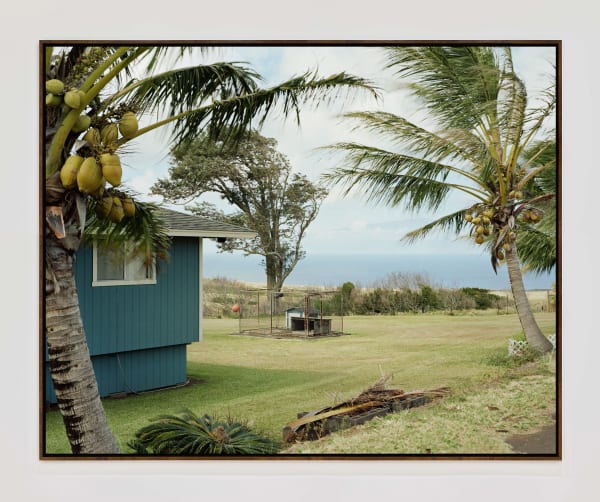 Doghouse Walnutframe