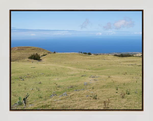 Hawaii 19876 Michaelgaillard Walnutframe