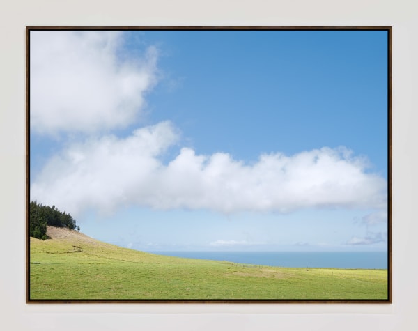 Kohalamountainroad19901 Walnutframe