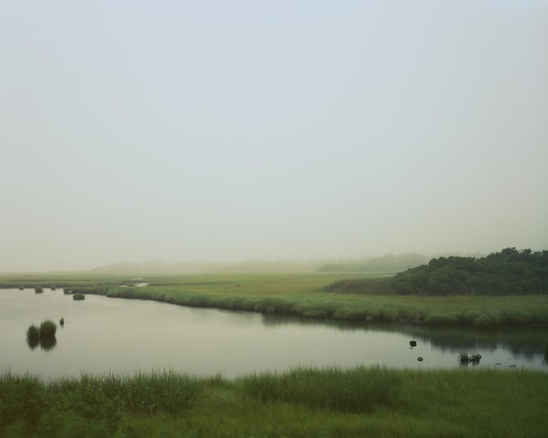 POLPIS 16 X 20: 12 OF 15 AT 3150 30 X 37.5: SOLD OUT 40 X 50: 1 OF 9 AT 6250 50 X 62.5: SOLD OUT 63 X 78.75: 1 OF 3 AT 14300