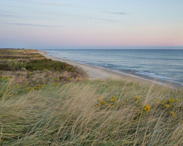SHEEP POND 16 X 20: 1 OF 9 AT 1900 30 X 37.5: SOLD OUT 40 X 50: 3 OF 9 AT 7250 50 X 62.5: 4 OF 6 AT 10000 63 X 78.75: 1 OF 3 AT 14300