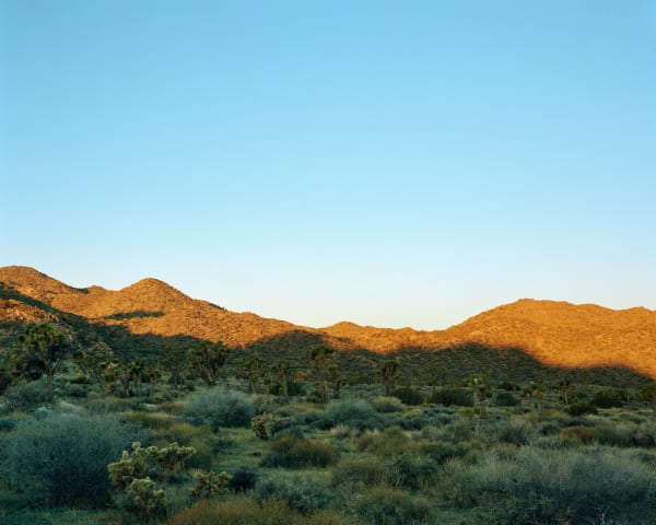 JOSHUA TREE DAWN 16 X 20: 1 OF 9 AT 1900 30 X 37.5: 1 OF 9 AT 4000 40 X 50: 1 OF 9 AT 6250 50 X 62.5: 2 OF 6 AT 8500 63 X 78.75: 1 OF 3 AT 14300