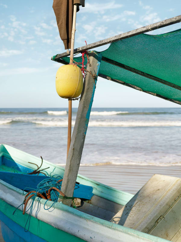 MORNING CATCH 16 X 20: 2 OF 15 AT 1900 30 X 37.5: 1 OF 9 AT 4000 40 X 50: 1 OF 9 AT 6250 50 X 62.5: 1 OF 6 AT 8500 63 X 78.75: 1 OF 3 AT 14300