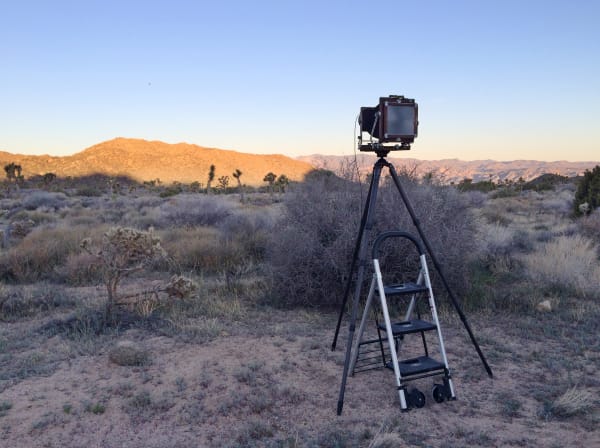 Joshua Tree, California