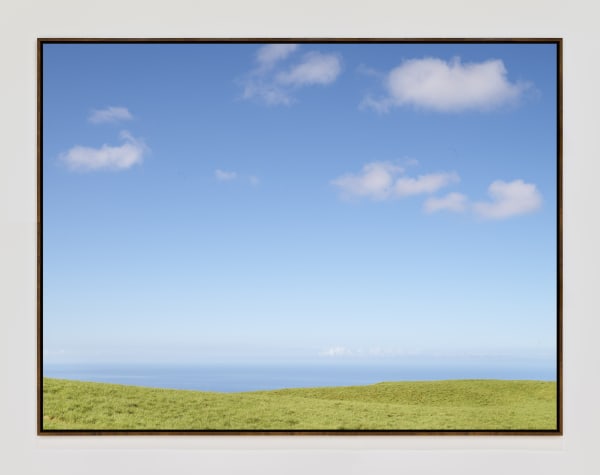 Hawaii 22498 Walnutframe