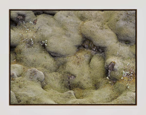 Iceland18811 Walnutframe