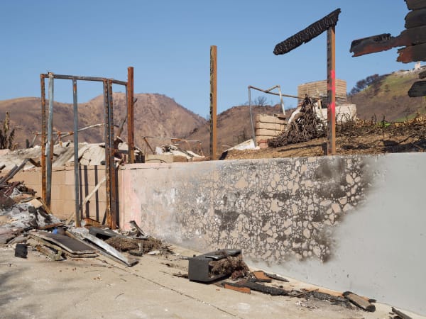 California After Palisades22547 Michaelgaillard