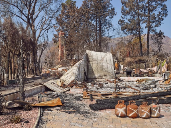 California After Palisades22573 Michaelgaillard