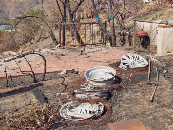 California After Palisades22609 Michaelgaillard