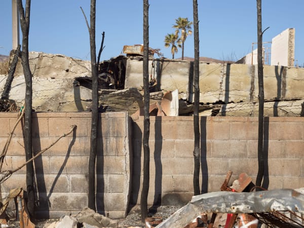 California After Palisades22676 Michaelgaillard