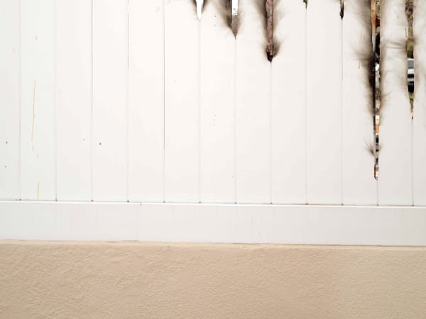 California After Palisades22836 Michaelgaillard