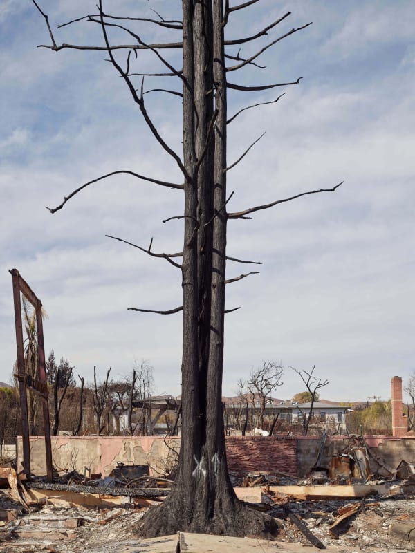 California After Palisades22880 Michaelgaillard