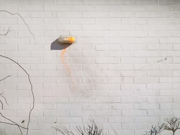 California After Palisades22682 Michaelgaillard