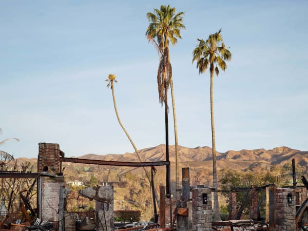 California After Palisades22707 Michaelgaillard