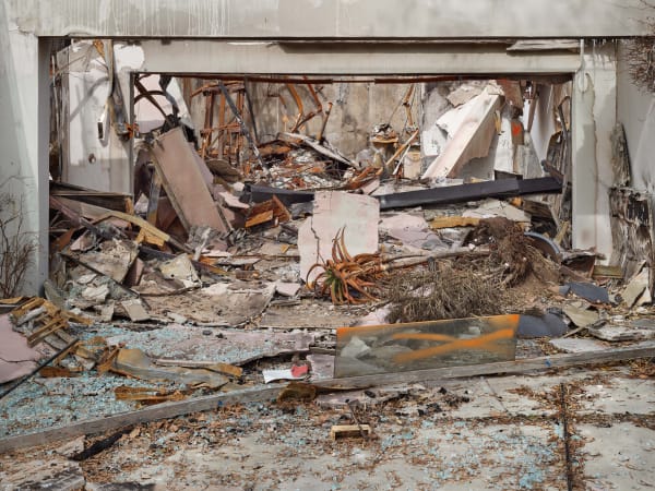 California After Palisades22845 Michaelgaillard