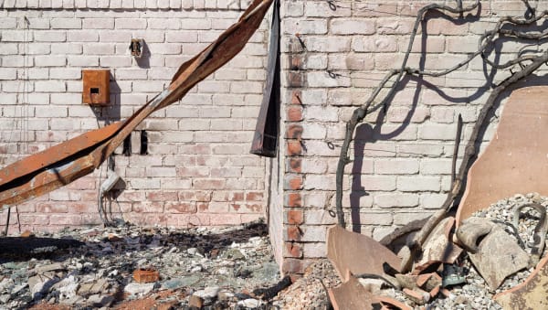 California After Palisades23176 Michaelgaillard