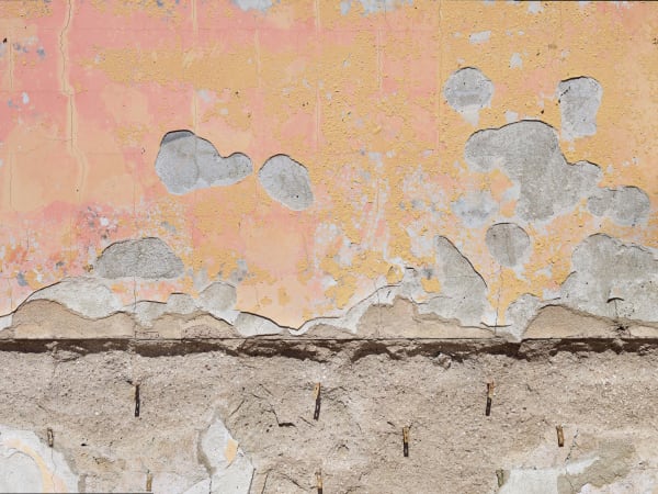 California After Palisades23198 Michaelgaillard