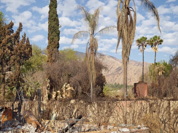 California After Altadena23109 Michaelgaillard