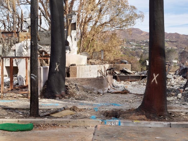 California After Palisades22754 Michaelgaillard