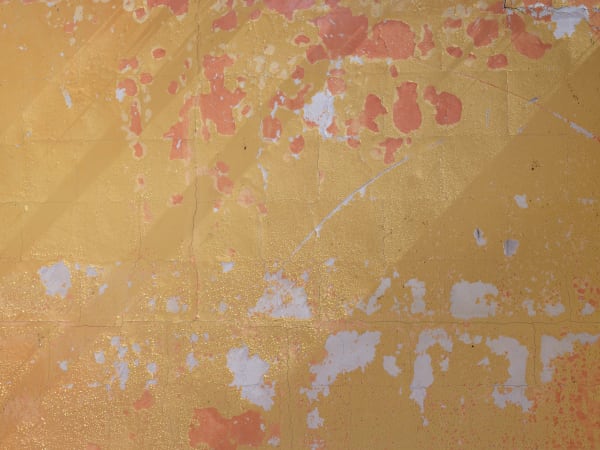 California After Palisades23195 Michaelgaillard