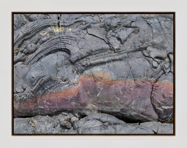 Haw 19944 Tight Pano Walnutframe