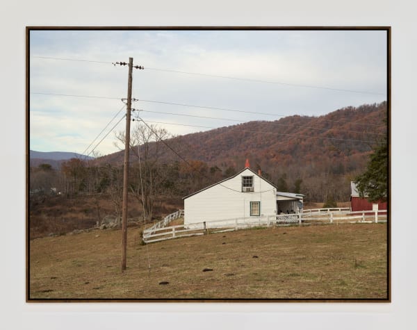 Tae Whitehouse 4007 Michaelgaillard Gaillard Walnutframe