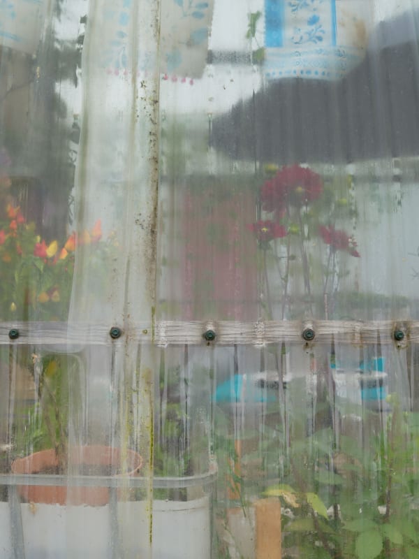 Michael Gaillard, Iceland, No. 13831