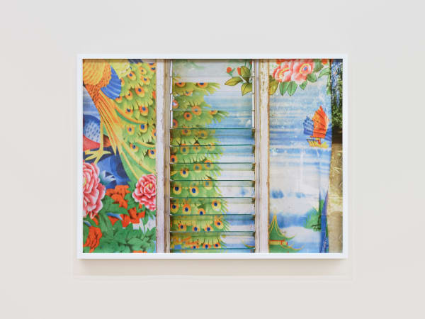 Native Landscape Archival Pigment Print 30 x 40 inches (76.92 x 102.6 cm.) Edition of 5, 1 AP FEATURED IN WHOSE WOODS THESE ARE