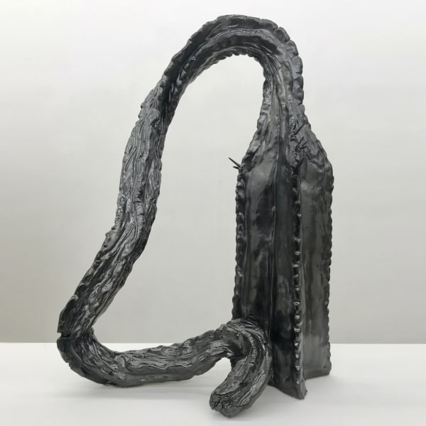 Rosi Steinbach, Cactus, 2020