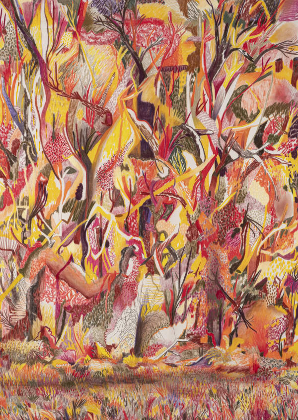 Stefan Schwarzer PLANET POLYCHROMOS