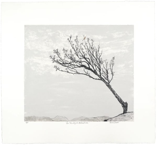 Frances Walker - On the Way to Achmelvich, 2022