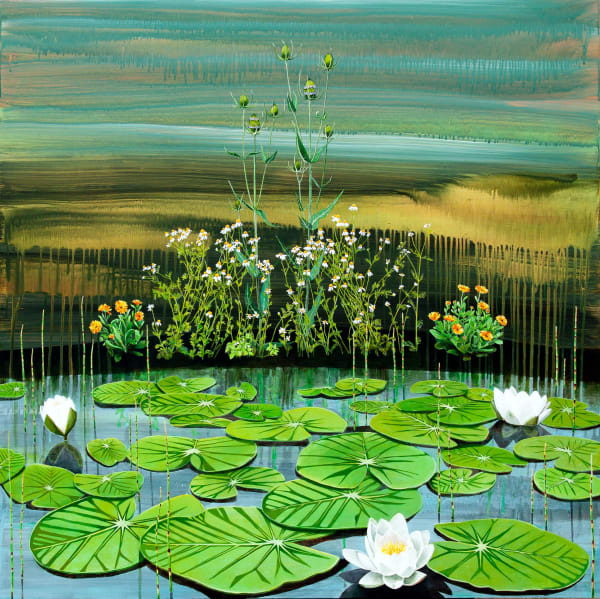 Kirsty Lorenz - Caltha palustris, Birnie Loch, Fife