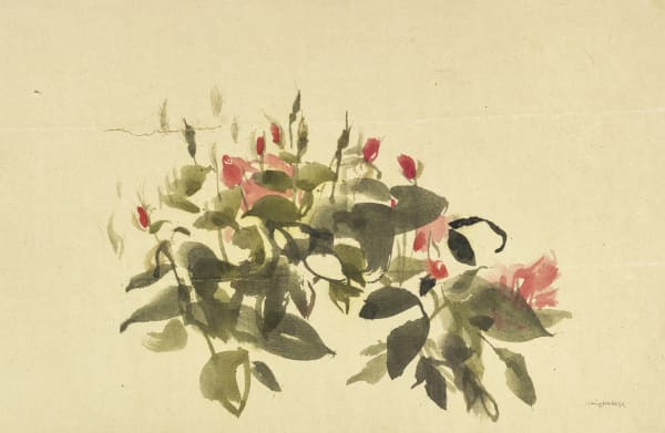 Summer Buds I, 2022 Watercolour 30 x 45cm Claire Harkess