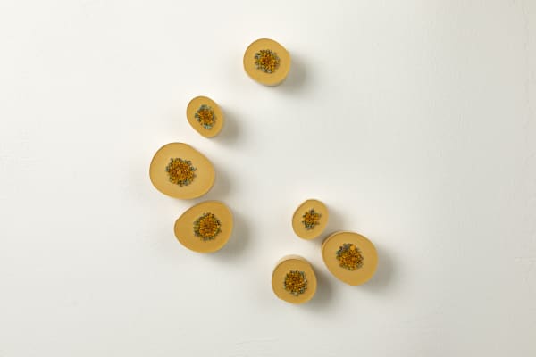 Joanna Kessel, Field of Vision: Yellow Group of 7