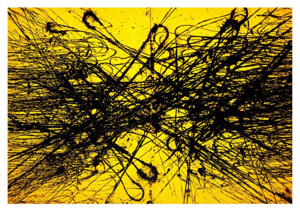 Calum McFadyen, Here Now, Here Now Black Landscape