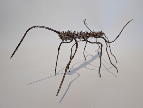 Camugaled in Roses Wood, paper, rose thorns, acrylic paint, glue Remi Jablecki