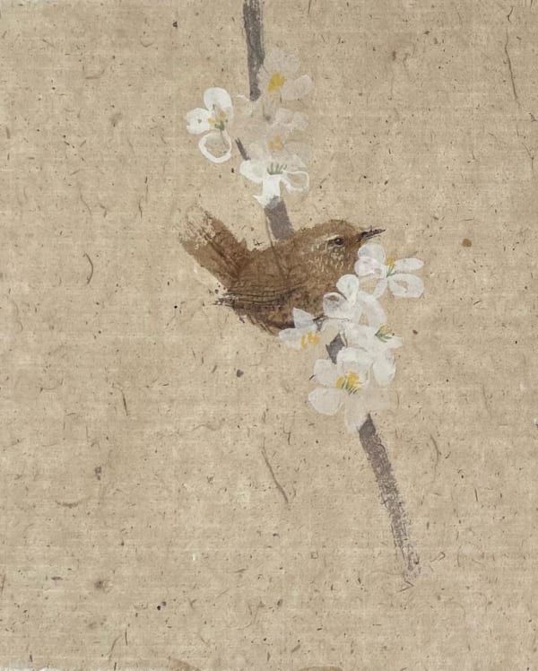 Wren on Apple Blossom, 2022 Watercolour 18x23cm Claire Harkess