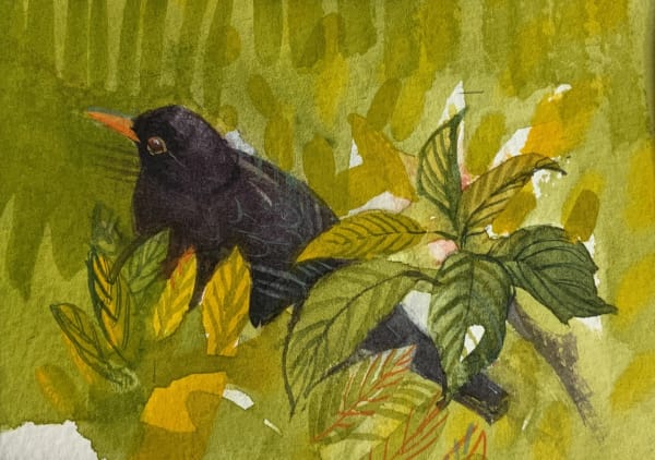 Bird Box Blacky Watercolour 7x10cm Claire Harkess